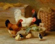 unknow artist Cocks 092 oil painting on canvas